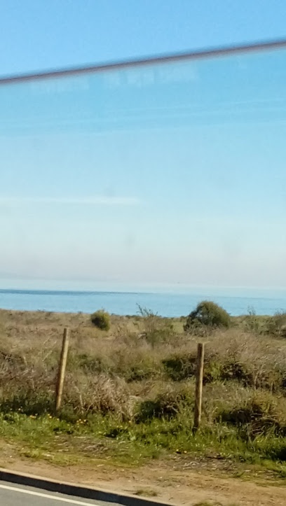Agencias Maritimas Broom y Cia (Talcahuano)