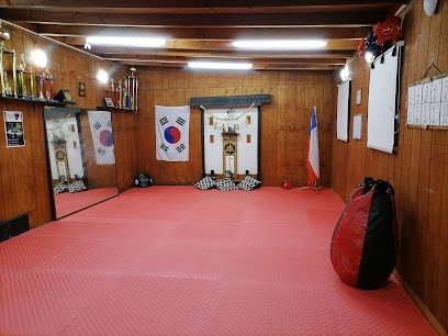 Budokan Chile