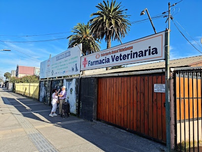 Clinica Kennel