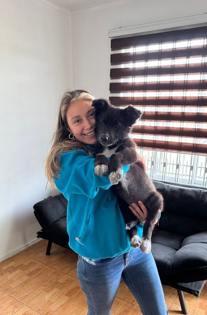 Clinica Veterinaria Javi Vets , Talcahuano