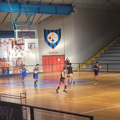 Club Deportivo Huachipato