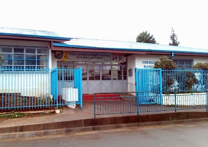 Colegio Básico Los Lobos