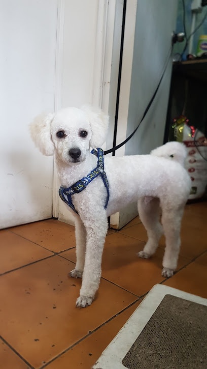 Edén Clinica Veterinaria y Peluquería Canina