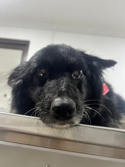 Hospital Veterinario Las Salinas