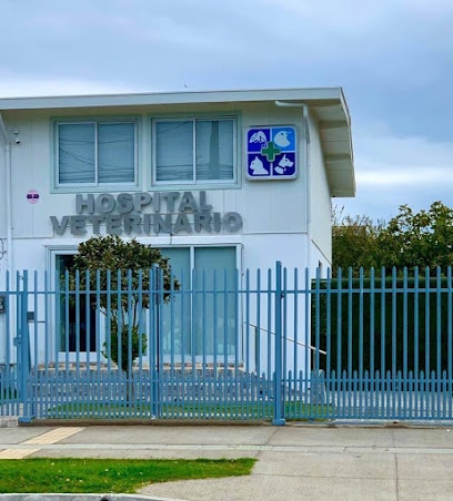 Hospital Veterinario Talcahuano Villa Animal