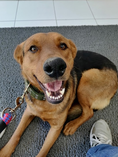 Hospital Y Clinica Veterinaria Doctor Eduardo Conejeros Pena, Empresa