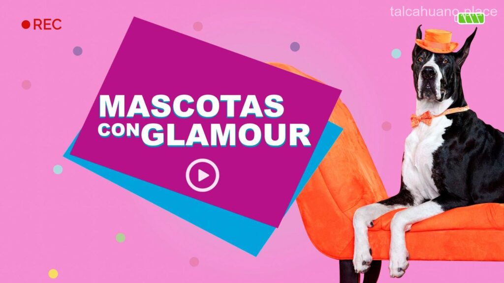 Las 6 mejores mascotas de Talcahuano