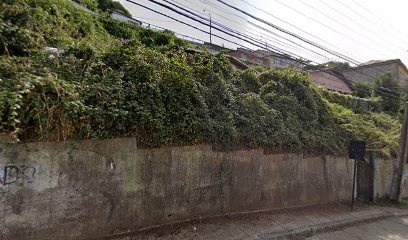 Palquim
