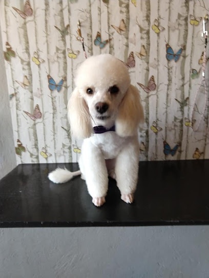 Pelupets Pame