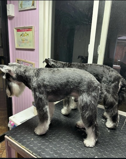 Peluqueria canina copito loco