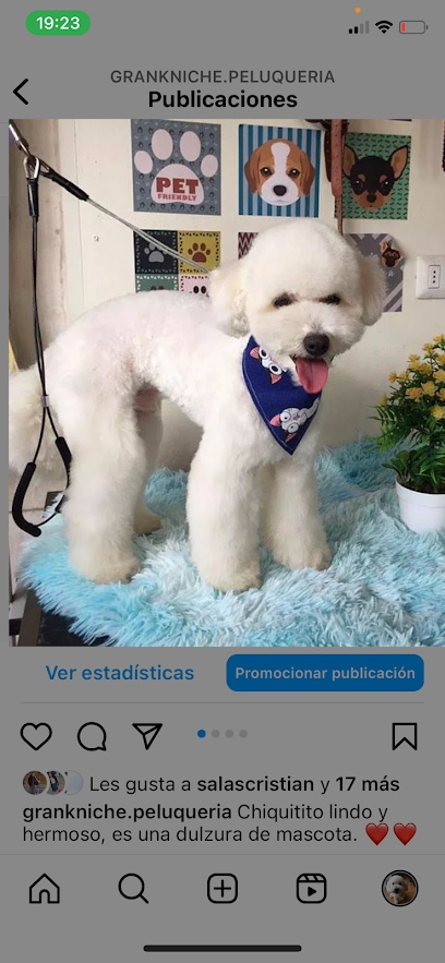 Peluqueria Canina Gran Kniche