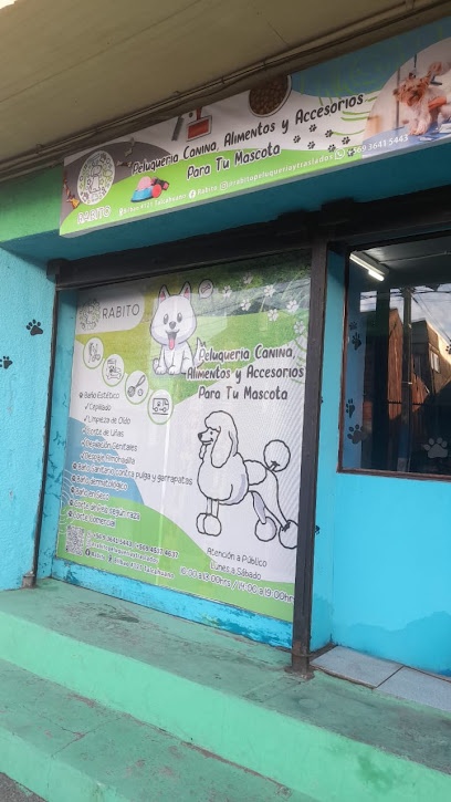 Peluqueria canina rabito