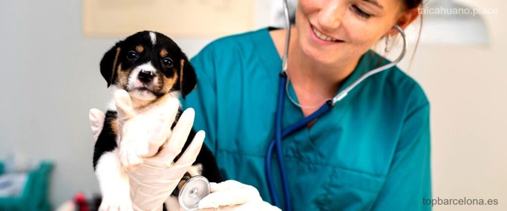 Las 2 mejores universidades privadas de veterinaria en Talcahuano