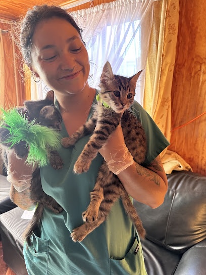 Veterinaria a domicilio REBEVET