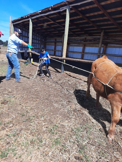 Veterinaria Animal Help Talcahuano