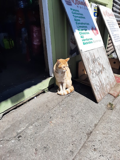 Vida Animal