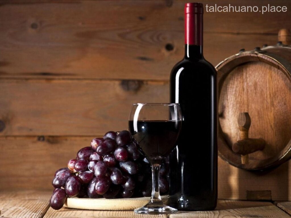 Los 6 mejores vinos de Talcahuano